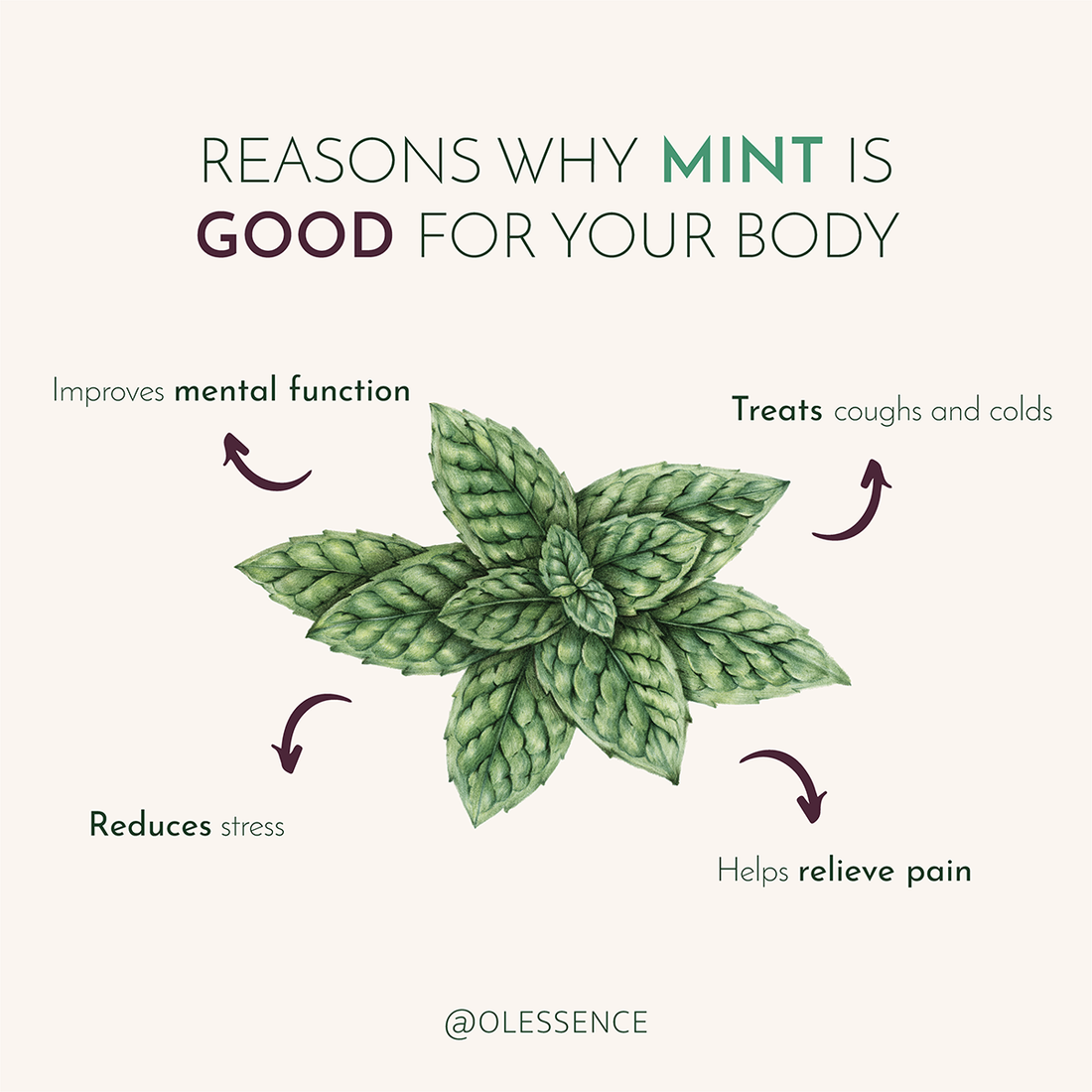 Benefits_mint_essential_oil