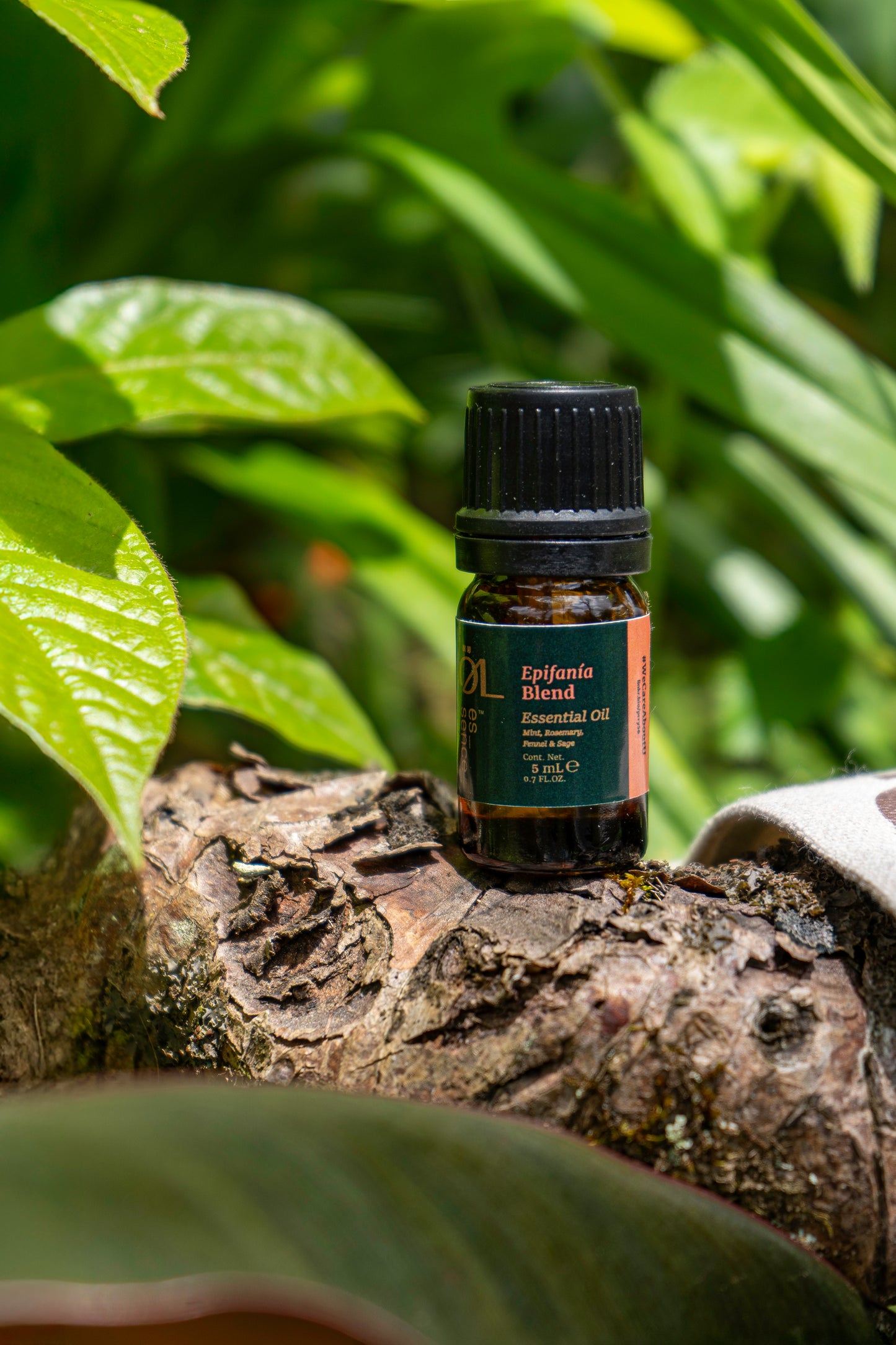 Essential Oil Blend: Epifanía - Motivation Boost! (5 ml)